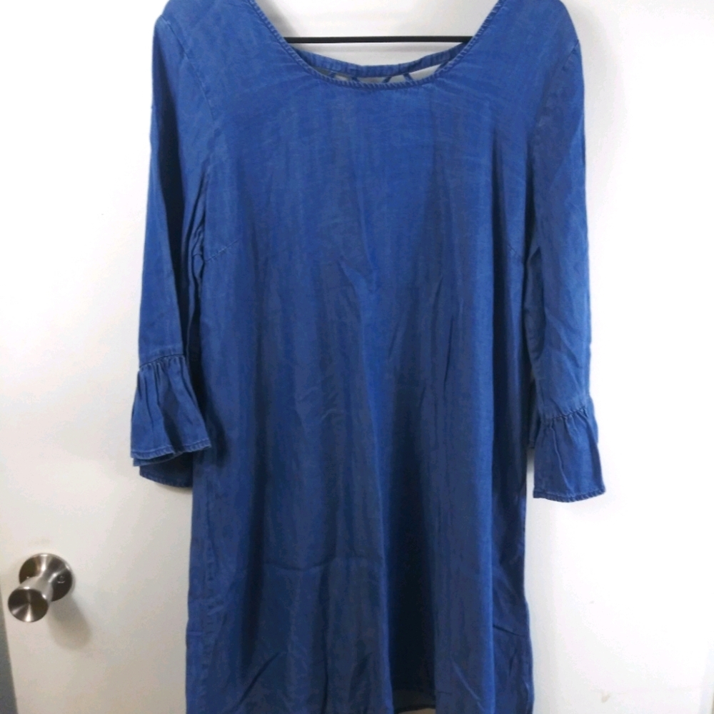 Signature Studio XL chambray dress